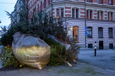 Stockholm, İsveç 31 Aralık 2024 Çöp toplamak için bir sokak köşesindeki Noel ağaçlarını çöpe attı.