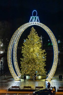 Vilnius, Litvanya 3 Ocak 2025 Gece Katedral Meydanı manzaralı Noel süslemeleri.
