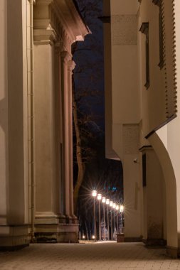 Vilnius, Litvanya 5 Ocak 2025 Tarihi Twon 'daki Katedral Meydanı' nda dar bir geçit..