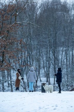 Vilnius, Litvanya 5 Ocak 2025 Kudru Parkı Misyoner Bahçeleri 'nde köpeği olan insanlar.