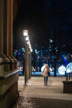 Vilnius, Lithuania Jan 6, 2025 Pedestrians at night walk on Cathedral Square in the Old Town. clipart