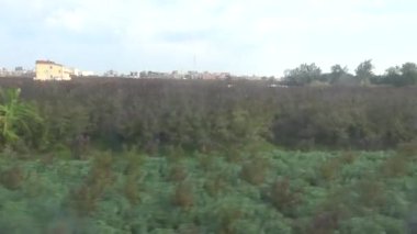 Kahire, Mısır hareket halindeki bir trenin tarla ve konaklama manzarası. 
