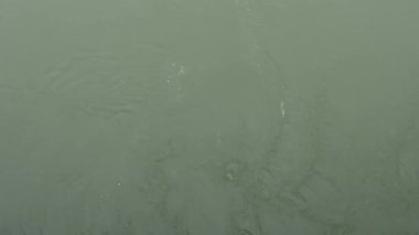 Zagreb, Hırvatistan Akan ve yeşil Sava Nehri manzaralı.