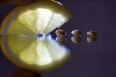 Stockholm, İsveç Limon tohumlu bir dilim limon aynaya yansıyor.
