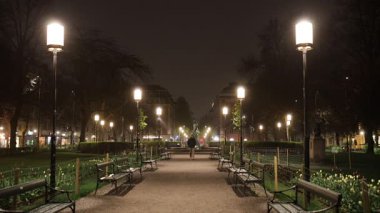 Stockholm, İsveç. Gece Sodermalm 'deki Mariatorget parkında bir adam yürüyor..  