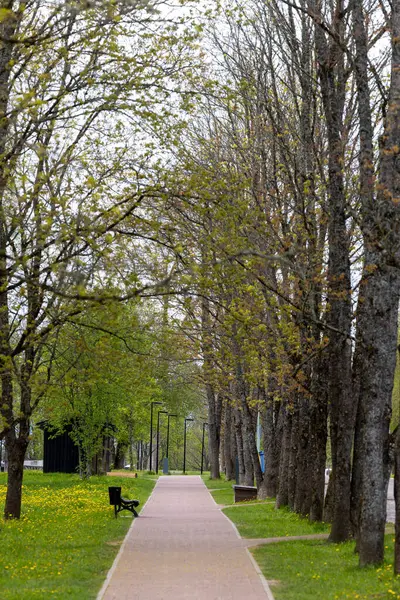Kuldiga, Letonya Ağaçların arasında bir patika ve kaldırım.