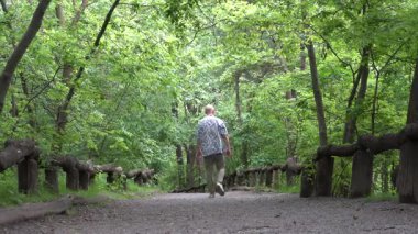 New York, New York, ABD Central Park 'ta bir adam ağaçlık yolda yürüyor.. 