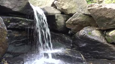 New York, New York, ABD Central Park 'taki geçitte küçük bir şelale. 