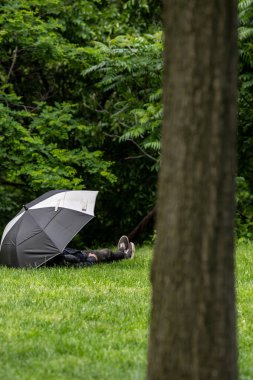 New York, New York, ABD 24 Mayıs 2025 Central Park 'ta bir şemsiye altında bir kişi çimlerin üzerinde oturuyor..