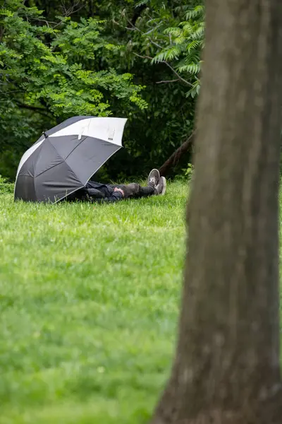 New York, New York, ABD 24 Mayıs 2025 Central Park 'ta bir şemsiye altında bir kişi çimlerin üzerinde oturuyor..