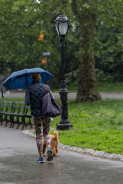New York, New York, ABD 24 Mayıs 2025 Central Park 'ta yağmurda yürüyen yayalar.