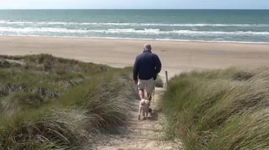 Hirtshals, Danimarka Bir adam sahil kum tepelerinde bir köpekle yürüyor. 