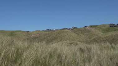 Hirtshals, Danimarka Kuzey Denizi Sahili 'nde kumsal aidatı manzarası. 