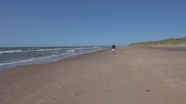 Hirtshals, Danimarka sahilde tasmalı bir köpekle yürüyen bir adam.. 