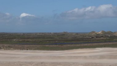 Skagen, Danimarka Rbjerg 'in tarihi kum tepeleri rüzgarlı bir günde.  