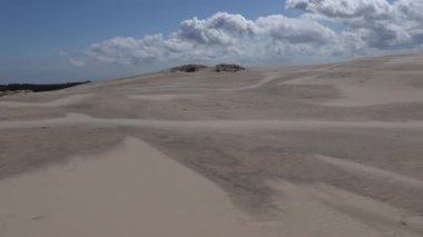 Skagen, Danimarka Rbjerg 'in tarihi kum tepeleri rüzgarlı bir günde.  
