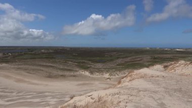 Skagen, Danimarka Rbjerg 'in tarihi kum tepeleri rüzgarlı bir günde.  