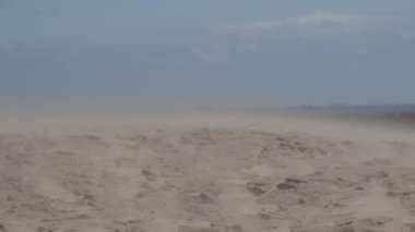 Skagen, Danimarka Rbjerg 'in tarihi kum tepeleri rüzgarlı bir günde.  