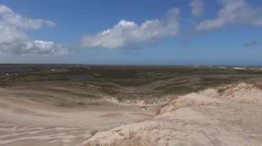 Skagen, Danimarka Rbjerg 'in tarihi kum tepeleri rüzgarlı bir günde.  