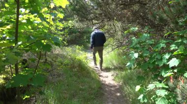 Hirtshals, Danimarka 'da güneşli bir yaz gününde bir adam orman yolunda yürüyor.. 