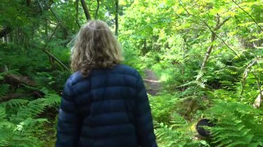 Hirtshals, Danimarka 'da bir kadın gür bir kıyı ormanında ağaçlık bir yolda yürüyor.. 