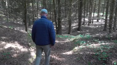 Hirtshals, Danimarka 'da güneşli bir yaz gününde bir adam orman yolunda yürüyor.. 