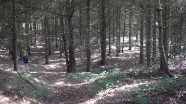 Hirtshals, Danimarka 'da güneşli bir yaz gününde bir adam orman yolunda yürüyor.. 