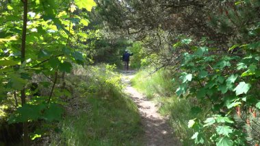 Hirtshals, Danimarka 'da güneşli bir yaz gününde bir adam orman yolunda yürüyor.. 