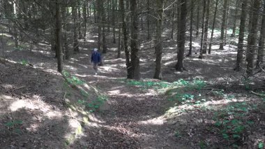 Hirtshals, Danimarka 'da güneşli bir yaz gününde bir adam orman yolunda yürüyor.. 