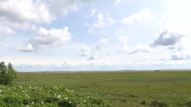 Sls, Danimarka Kuzey Jutland Limfjord çevresindeki gökyüzü ve manzara. 