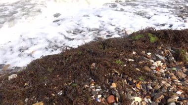 Mors, Danimarka dalgaları Limfjord 'daki Mors adasının kayalık kıyılarına doğru ilerliyor.. 