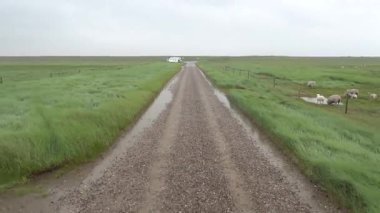 Mando, Danimarka Gelgit düzlüklerinden Kuzey Denizi bataklıkları üzerinden Mando Adası 'na giden bir otobüsün görüntüsü.. 