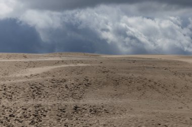 Skagen, Danimarka 2 Haziran 2025 Rabjerg Mil 'in rüzgârlı kum tepeleri.