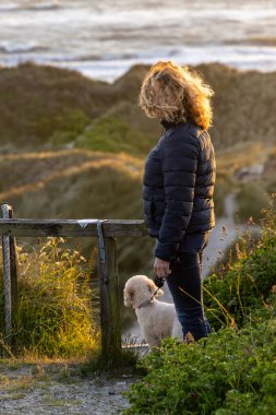 Hirtshals, Danimarka Rüzgarda esen sarı saçlı bir kadın ve Kuzey Denizi 'nin tepelerinde tepinen bir Bichon Poo köpeği.
