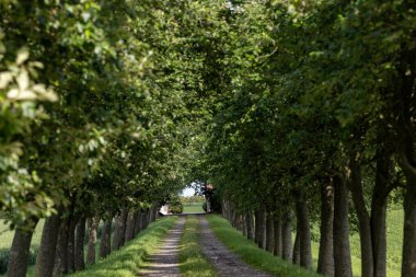 Mors, Danimarka Ağaçlı bir ara sokak ve yol.