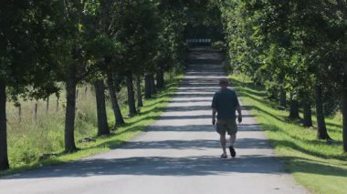 Hille, İsveç Ağaçlı kırsal bir yolda bir adam yürüyor. 