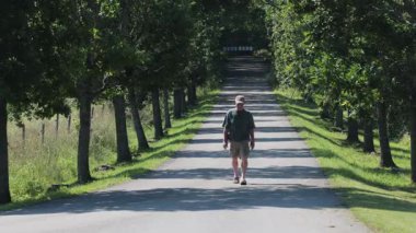 Hille, İsveç Ağaçlı kırsal bir yolda bir adam yürüyor. 