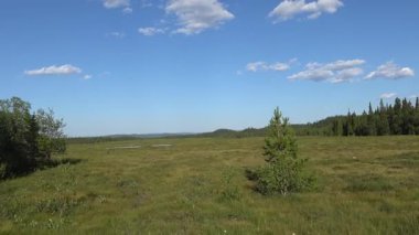 Klocka, İsveç Jmtland bölgesinde açık yeşil bir manzara.