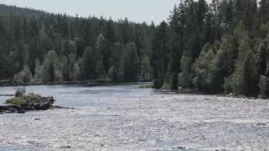 Nsteln, İsveç Jmtland bölgesindeki Nsteln Gölü 'ndeki Ljugan Nehri manzarası. 