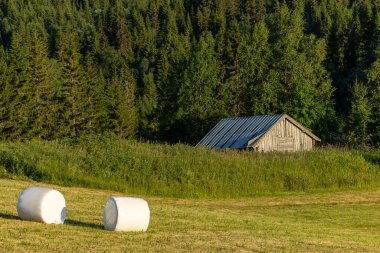 Yamaçtaki İsveç saman balyaları.