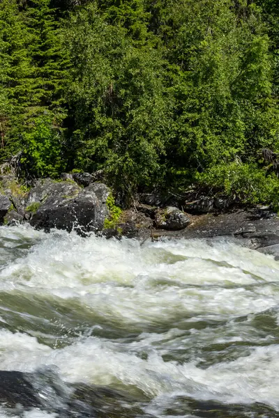 Tannforsen, İsveç. İsveç 'in en büyük şelalesi olan Tannforsen Şelalesi, Indalsalven Nehri kıyısında..