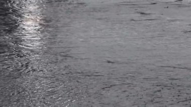 Stockholm, İsveç Şiddetli yağmuru yaz fırtınası ve drenajında sıcak kaldırıma yağar. 