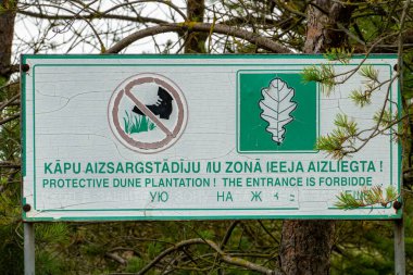 Ventspils, Letonya 29 Temmuz 2025 Letonya ve İngilizcede kumullardaki bitkilerin korunduğunu söyleyen bir tabela..