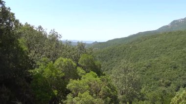 Sardinya, İtalya meşe ağacı örtüsü ve Parco Naturale Bölgesinde dağlar di Gutturu Mannu.