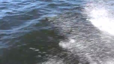 Stockholm, İsveç Sürat Suyu ve dalgalar Bir motorlu tekneden görülen.  