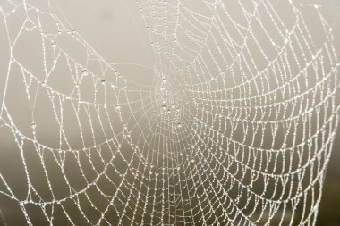 Stockholm, İsveç Sabahın erken saatlerinde Arsta Köprüsü 'nde bir örümcek ağı.