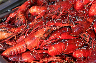 Geleneksel Çin yemeği, kızarmış ıstakoz, yakın plan fotoğraf.