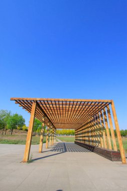 Oksitlenme, paslanma, parkta çelik kirişler, fotoğrafın yakın çekimi.