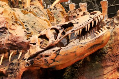 TIANJIN - 17 MAYIS: Dinozor kemikleri modelleme mimarisi, Mutlu Vadi, 17 Mayıs 2014, Tianjin, Çin.