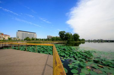 LUANNAN COUNTY - SEPTEMBER 15: Buildings and wooden trestle in a park, September 15, 2014, Luannan County, Hebei Province, China clipart